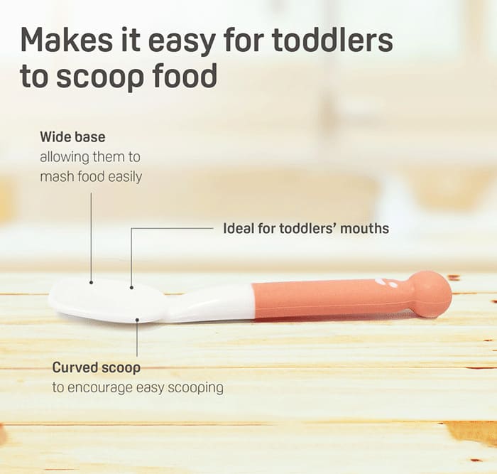 PIGEON WEANING SPOON & FORK SET - Image 3
